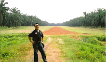 Landed In An Oil Palm Estate Runway