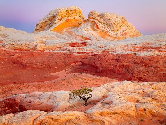 Arizona Butte Arizona Butte