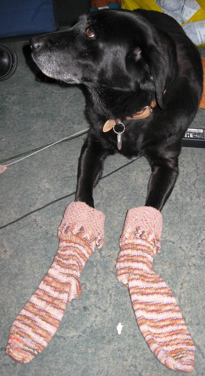 [furry+dogmother+socks+part+one.jpg]