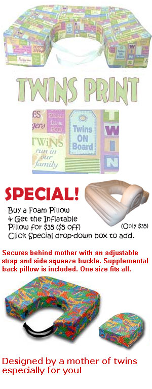 [foam-twin-pillow.jpg]