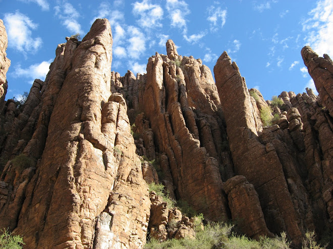 Towers Within the Desert, Fall 2007
