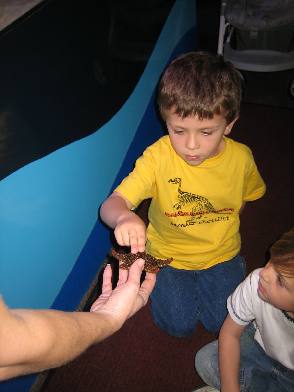 [IMG_4259.JPG]