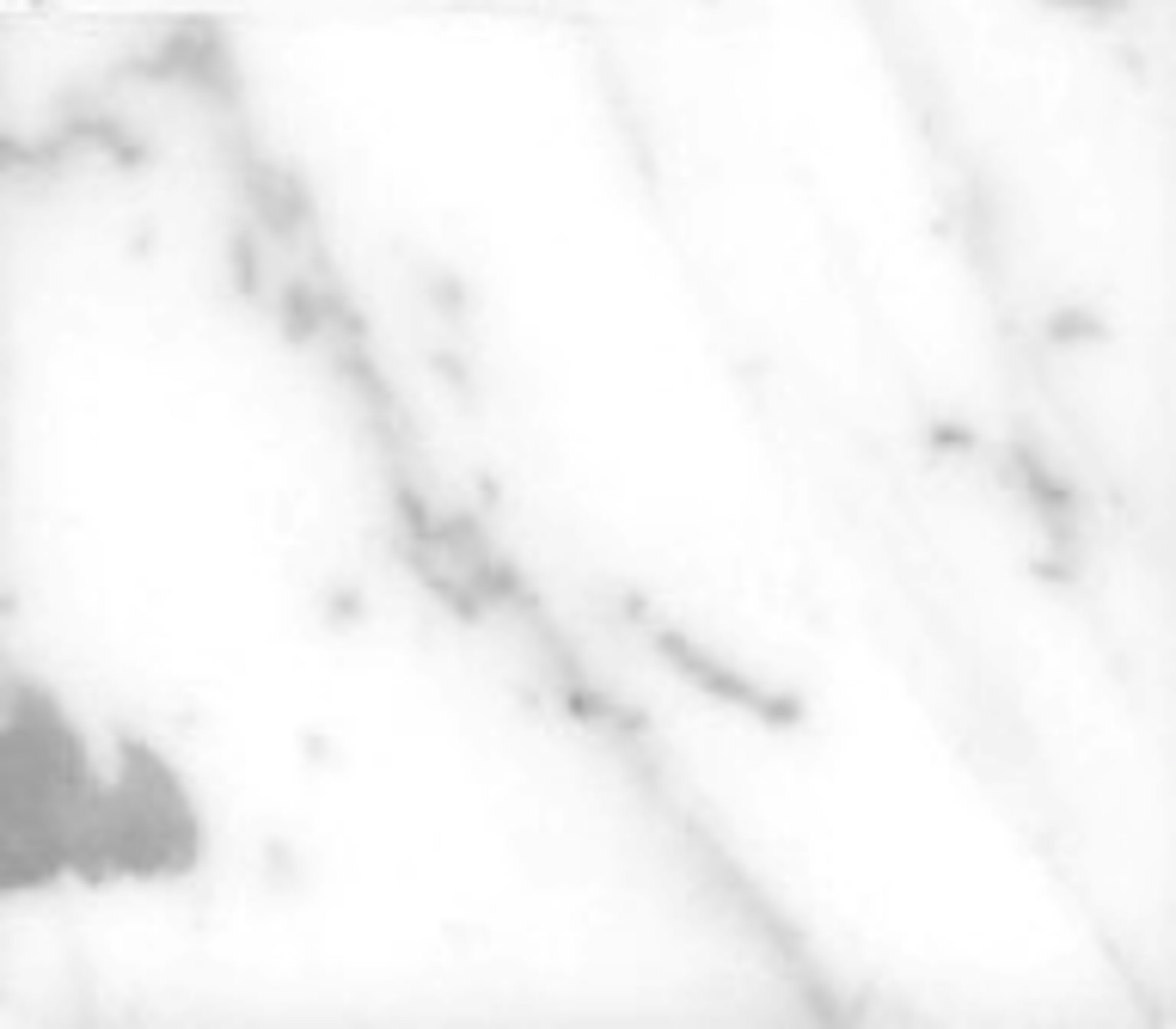 [white+marble.jpg]