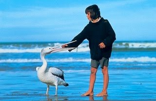 [storylvl-storm-boy-420x0.jpg]