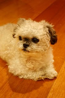 [gracie240609B.jpg]