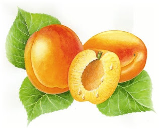 Kayısı yağının yararları nelerdir. ( Faydaları )