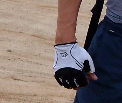 [fox+gloves.jpg]
