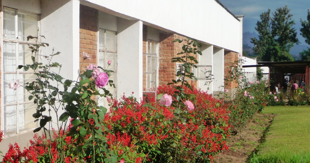 Healing Trauma in the Congo Panzi Hospital