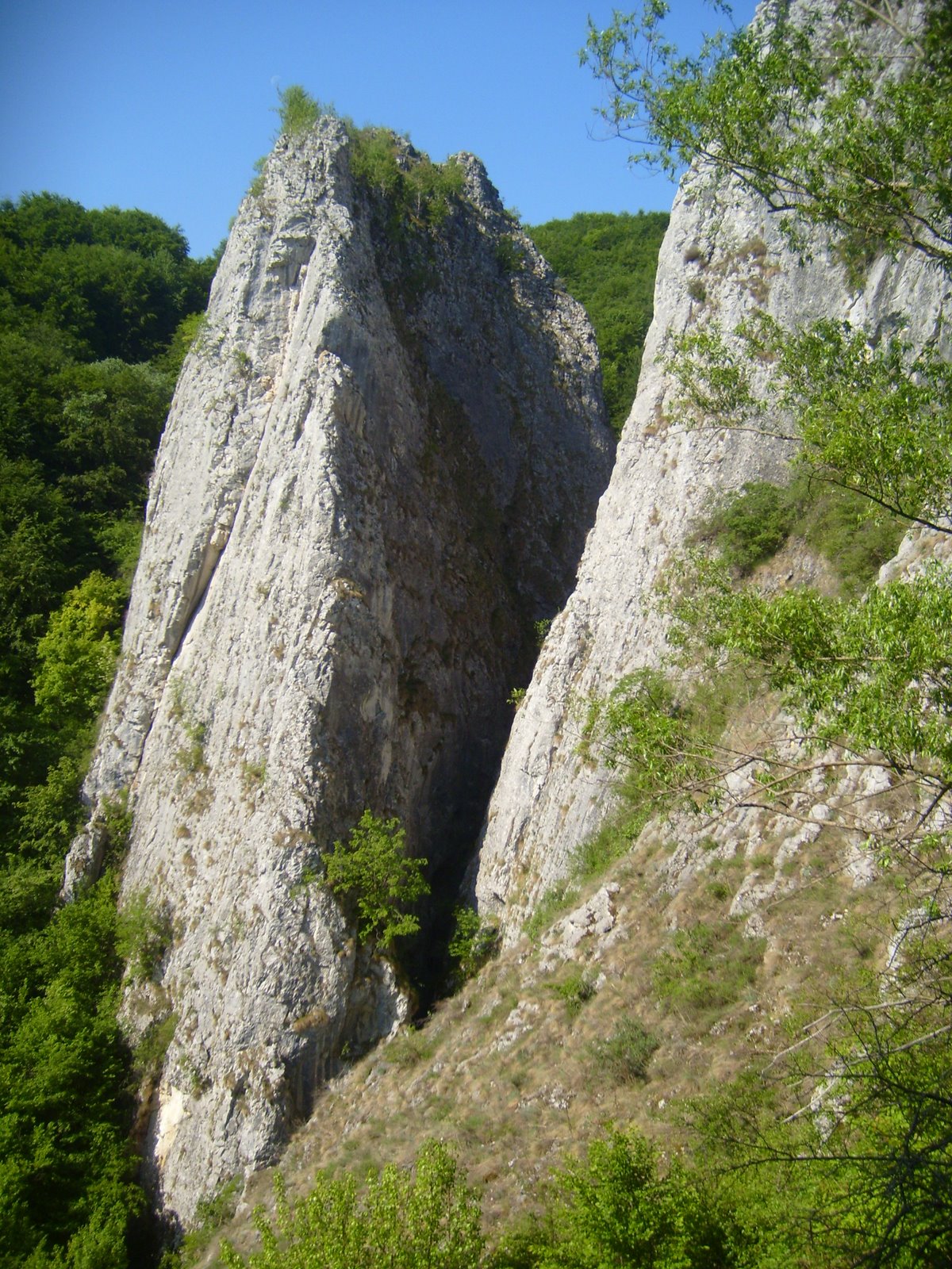[S7006806.JPG]