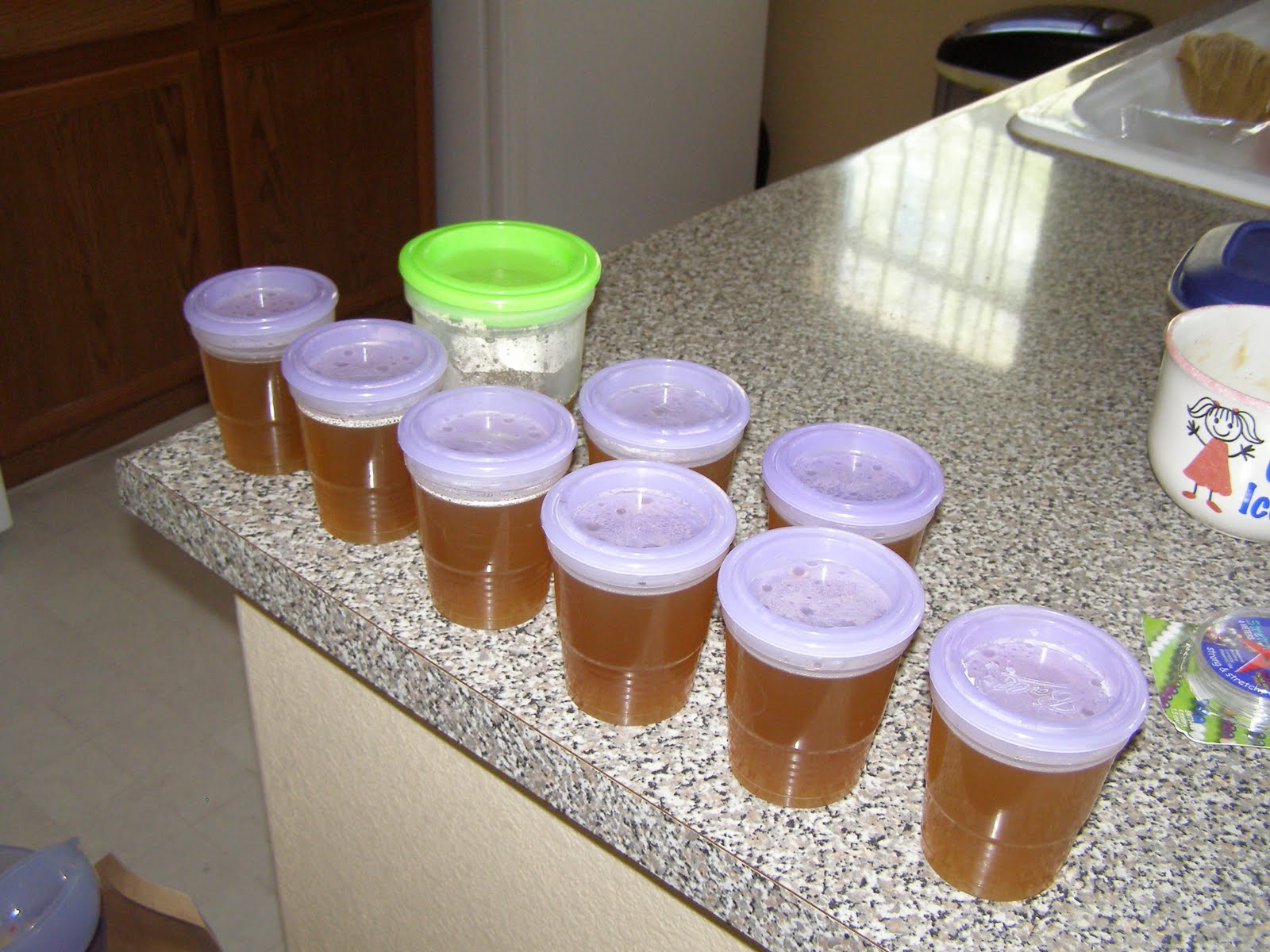 Growing Up Gabel Freezing and Storing Broth