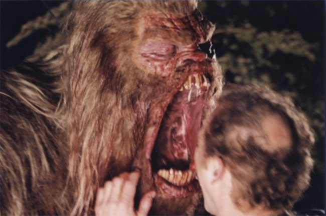 Face+Bite.jpg