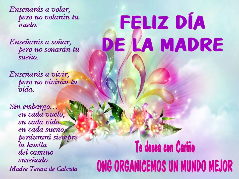 feliz dia de madres feliz dia de madres