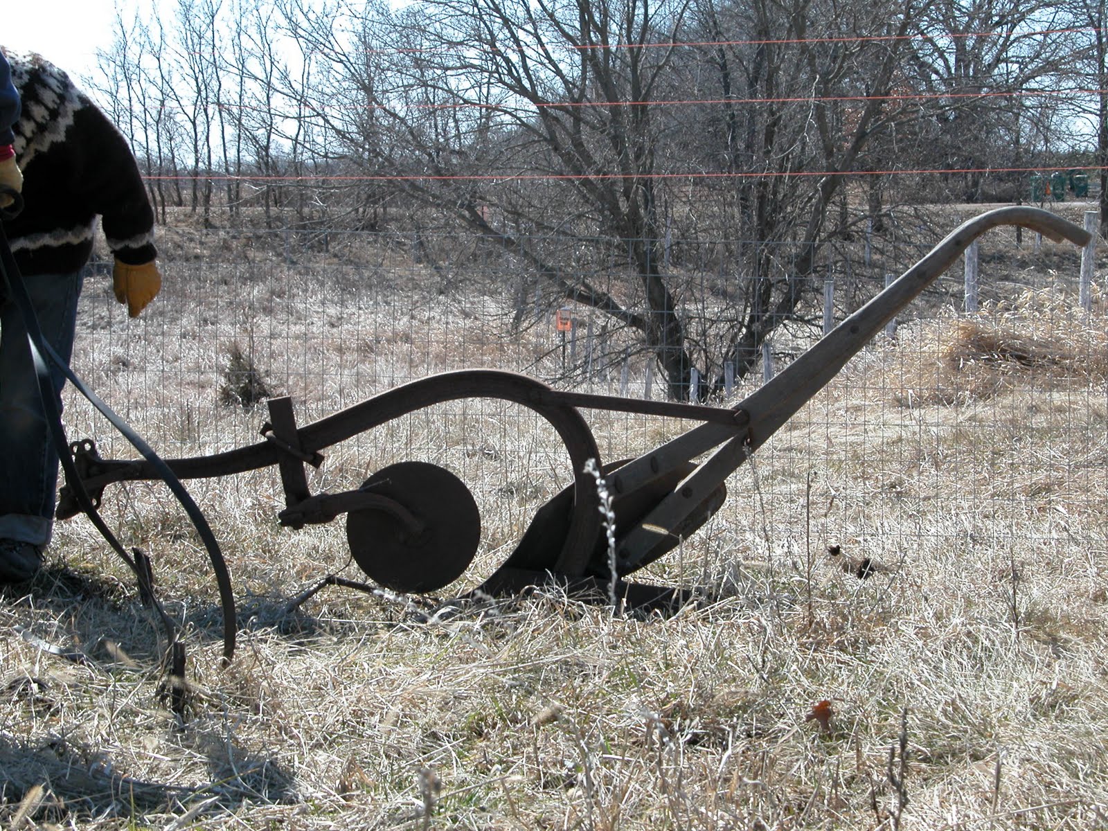 Little Flower Farm Draft Horse Ploughing