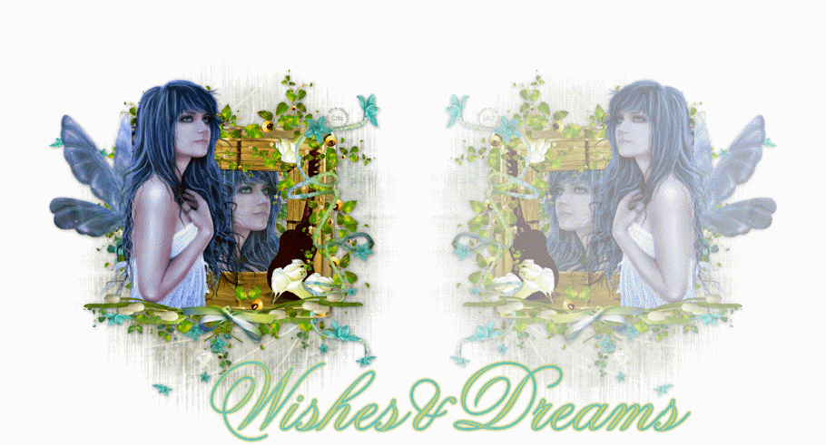 Wishes&Dreams