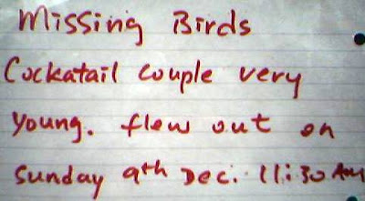 The bird has flown.