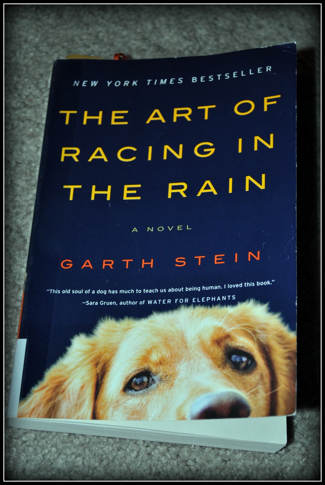 The Mermaid Chair & Art of Racing in the Rain – Suz's Treats