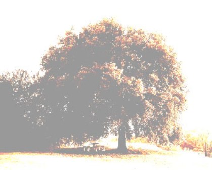 [DSC_21450001_1.jpg]