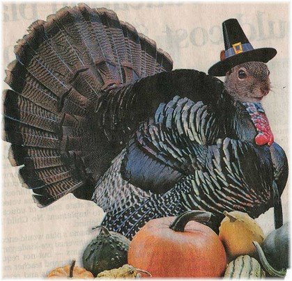 [thanksgiving+squirrel+turkey.jpg]