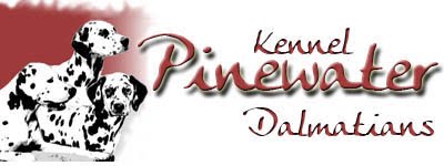 kennel Pinewater