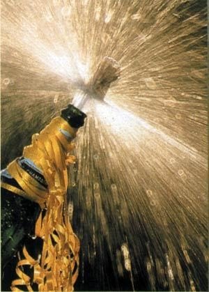 [champagne.bmp]