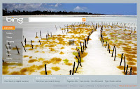 Bing Search Engine Service for Android Powered Clients