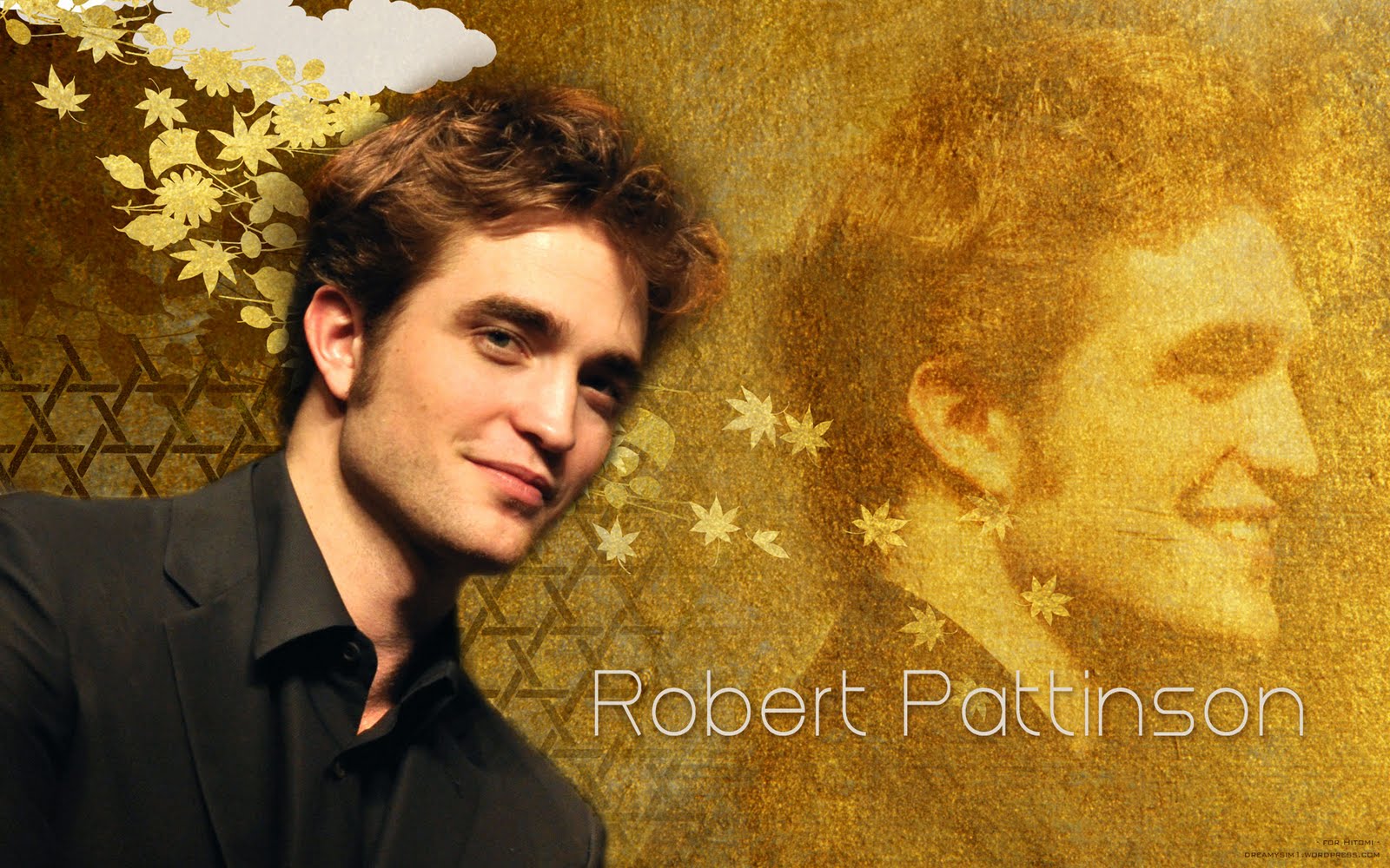 http://4.bp.blogspot.com/_HY98zDW04aE/S926q7rRy9I/AAAAAAAAEBw/4d5YgGJB5wI/s1600/zzJapanRob-1920x1200.jpg