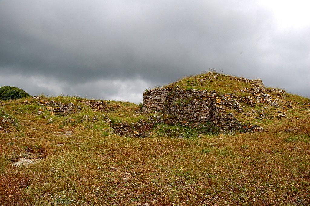 [DSC_3799.JPG]