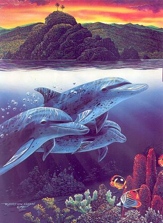 [dolphpic13.jpg]