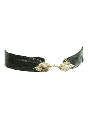 [belt.jpg]