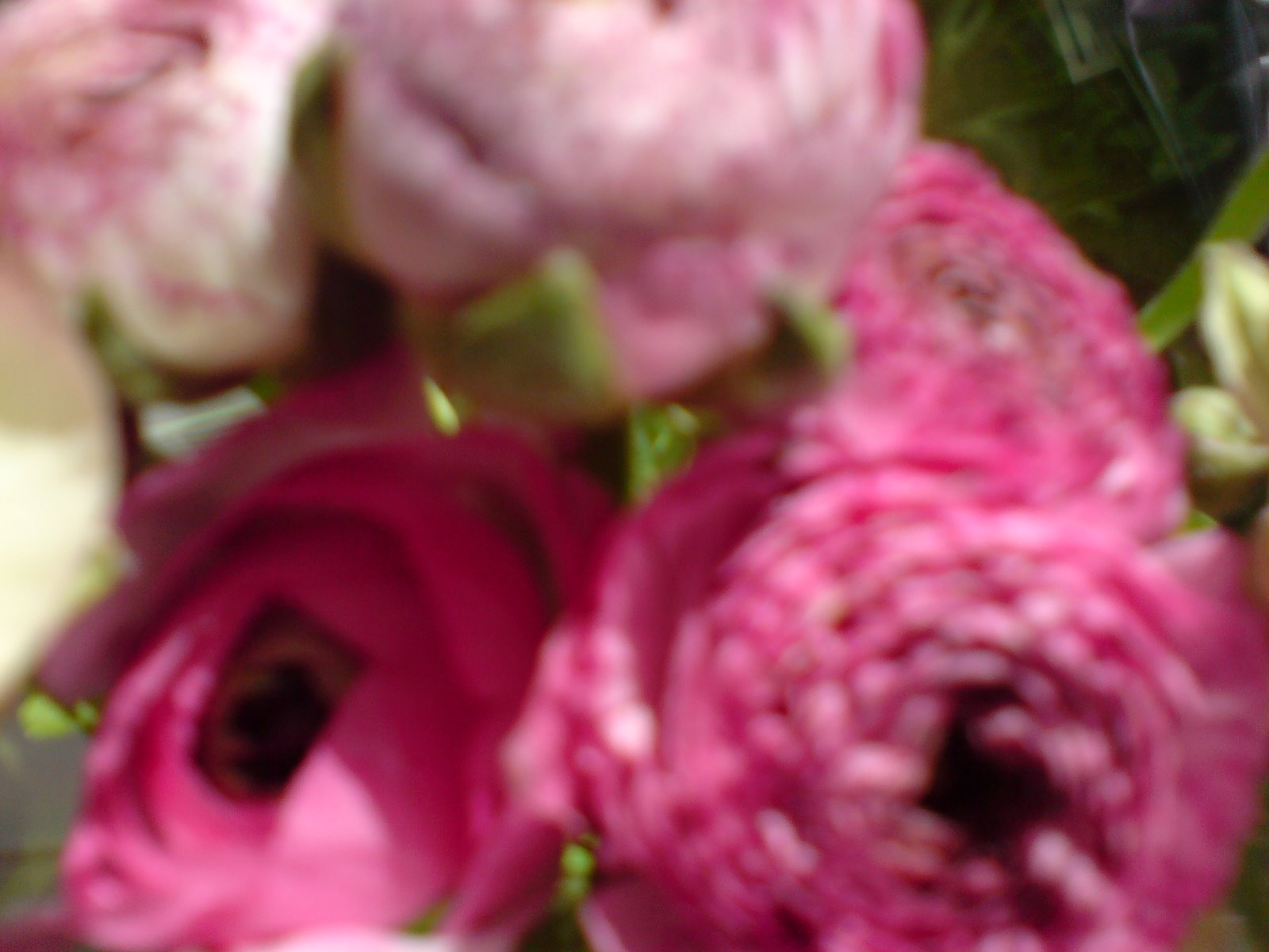 [DSC00045.JPG]