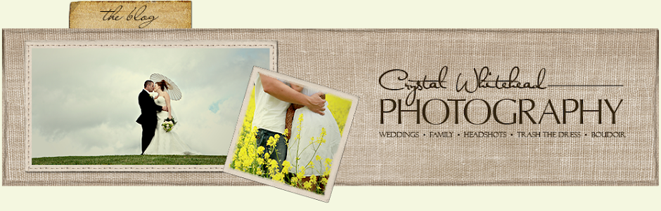Crystal Whitehead Photography