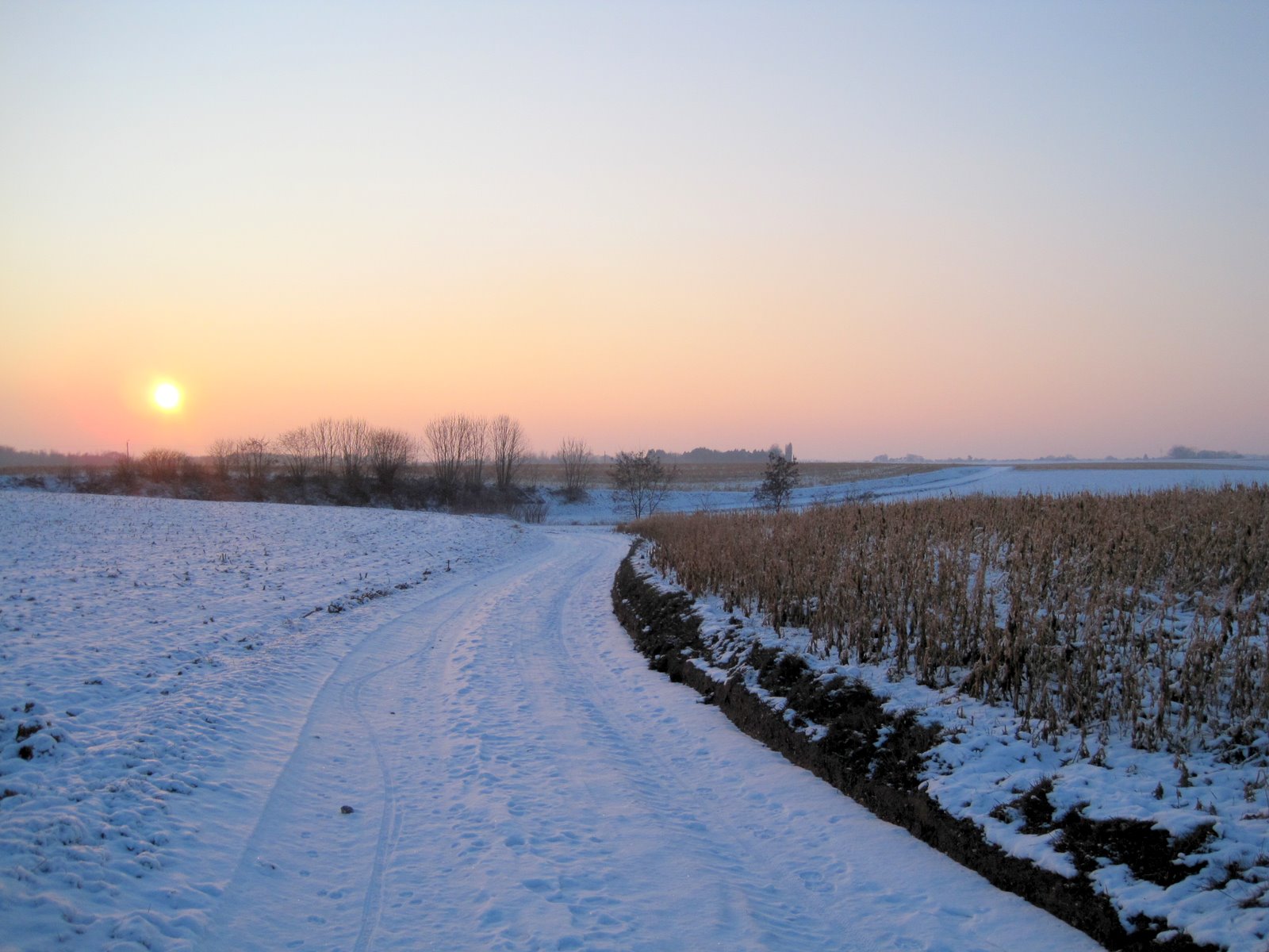 [IMG_1218.JPG]