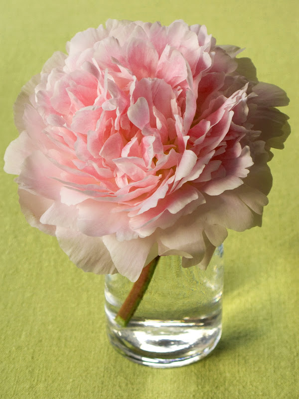 PatchworkPottery Linen & Green