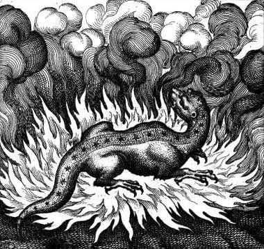 Importance Of Fire