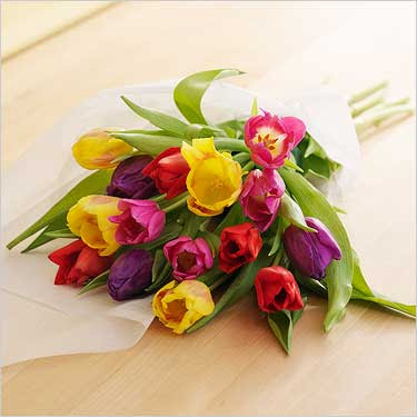 18084_bdutnovase_flower_xxl.jpg