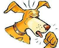 schnupfen_hund.jpg
