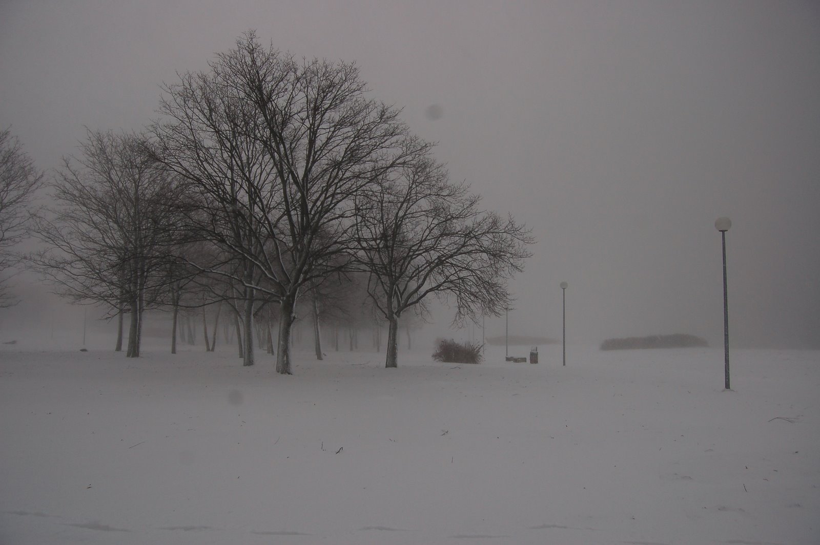 [DSC_5345.JPG]