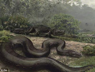 馬來西亞 神秘巨蛇 納布 Nabau