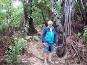 Queen Charlotte Sound