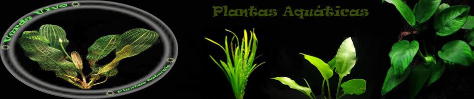VerdeVivo - Plantas aquaticas