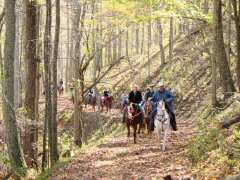 Happy Trails! Horseback Riding in North Carolina - a great way to see the mountains