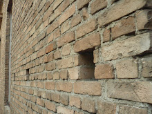 pinacoteca - paulo mendes