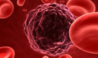 image of a blood cell