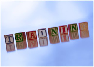 image of cubes spelling training