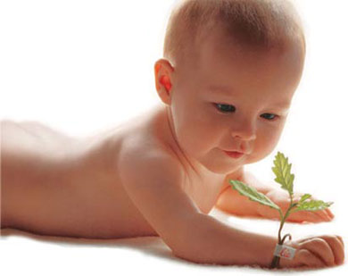 bebe Qual a Hora Certa para Ter um Bebê - 2017 bebe