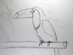 Toucan by collage artist Megan Coyle