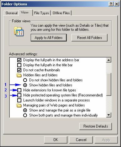 [folder+options.JPG]