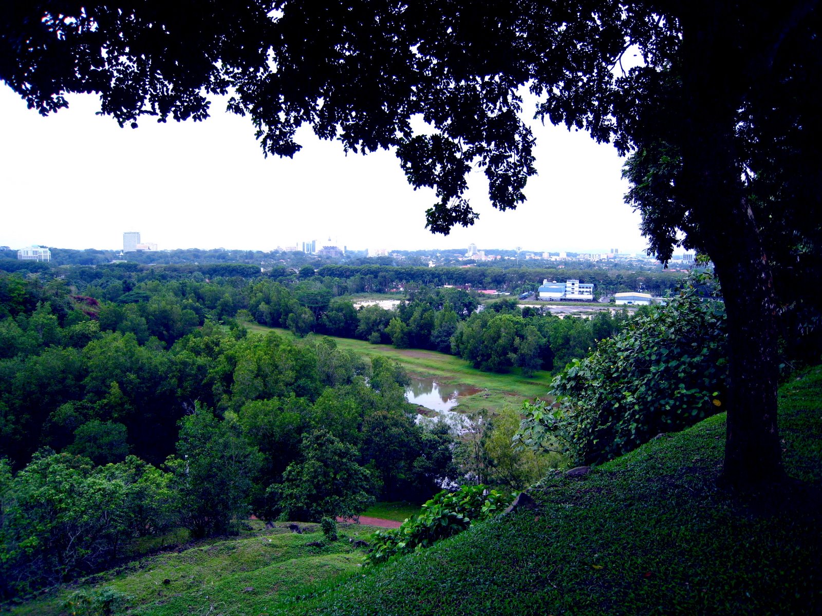 [IMG_0047.JPG]