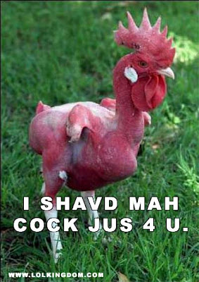 shaved_chicken.jpg