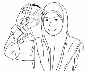 Bahasa Isyarat Malaysia